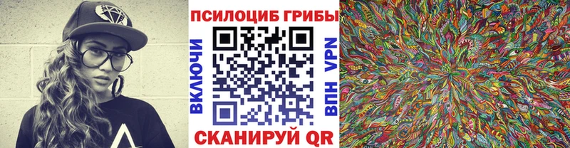 Галлюциногенные грибы мицелий  blacksprut зеркало  Кологрив 